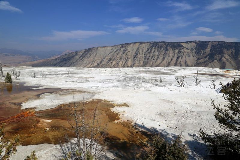 Wyoming--Yellowstone National Park--Mammoth Hot Spring (7).JPG