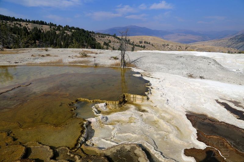 Wyoming--Yellowstone National Park--Mammoth Hot Spring (21).JPG