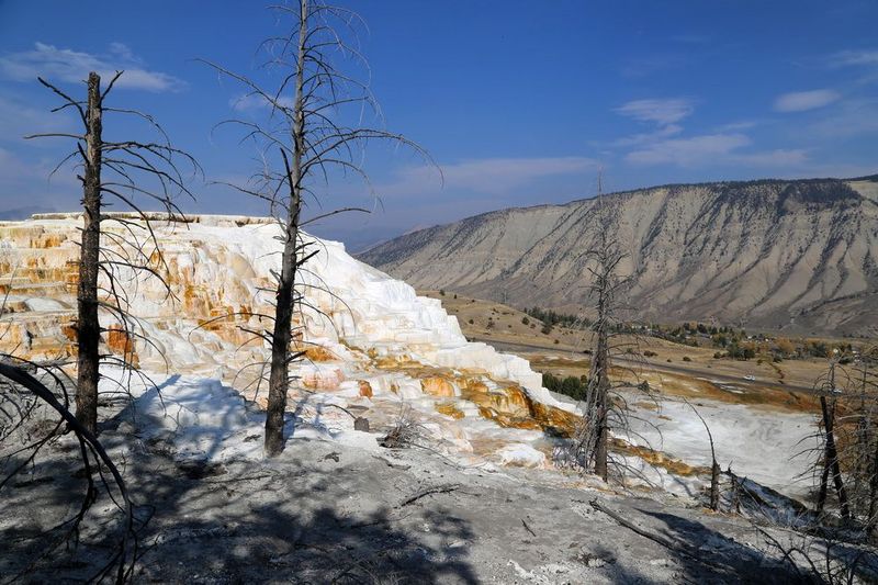 Wyoming--Yellowstone National Park--Mammoth Hot Spring (14).JPG