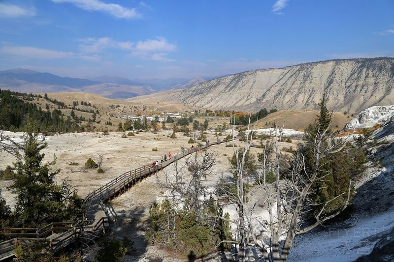 Wyoming--Yellowstone National Park--Mammoth Hot Spring (27).JPG