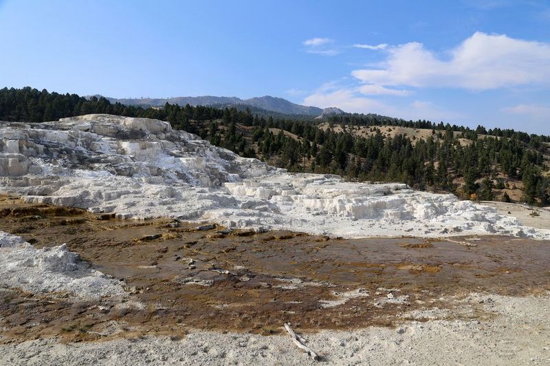 Wyoming--Yellowstone National Park--Mammoth Hot Spring (23).JPG