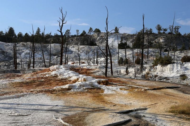 Wyoming--Yellowstone National Park--Mammoth Hot Spring (30).JPG