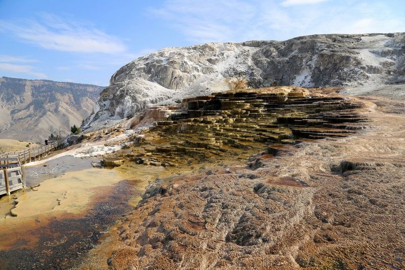 Wyoming--Yellowstone National Park--Mammoth Hot Spring (18).JPG