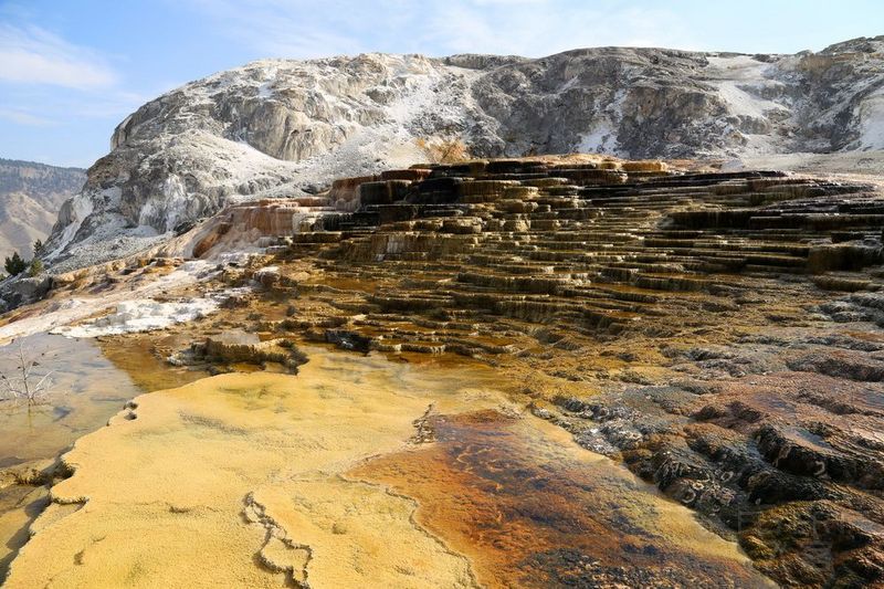 Wyoming--Yellowstone National Park--Mammoth Hot Spring (19).JPG