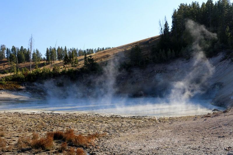 Wyoming--Yellowstone National Park--Mud Volcano (5).JPG