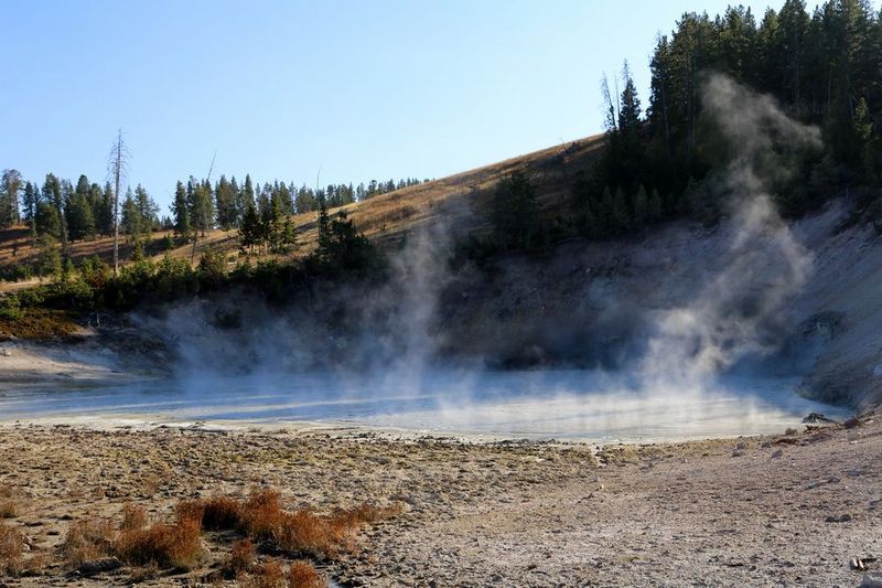 Wyoming--Yellowstone National Park--Mud Volcano (5).JPG