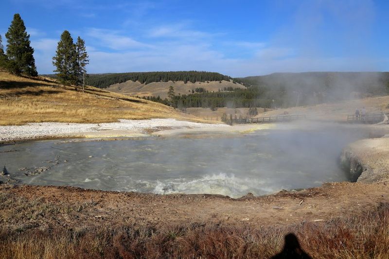 Wyoming--Yellowstone National Park--Mud Volcano (9).JPG