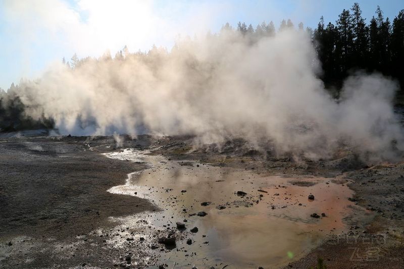 Wyoming--Yellowstone National Park--Norris Geyser Basin (4).JPG