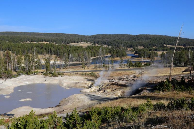 Wyoming--Yellowstone National Park--Hayden Valley (4).JPG