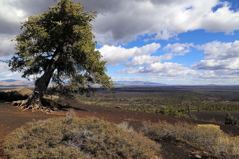 Idaho--Craters of the Moon National Monument (43).JPG