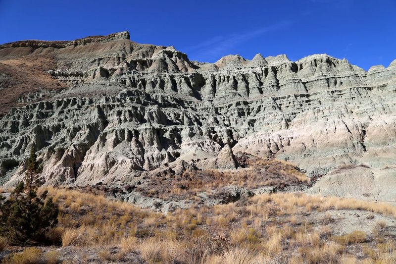 Oregon--John Day Fossil Beds National Monument (34).JPG