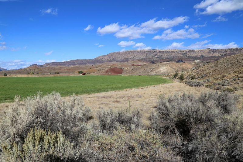 Oregon--John Day Fossil Beds National Monument (36).JPG