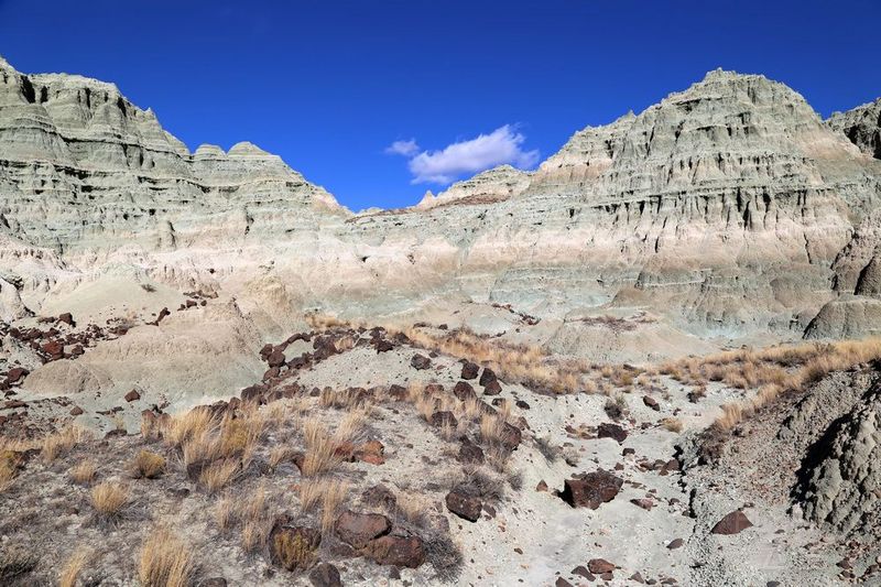 Oregon--John Day Fossil Beds National Monument (35).JPG