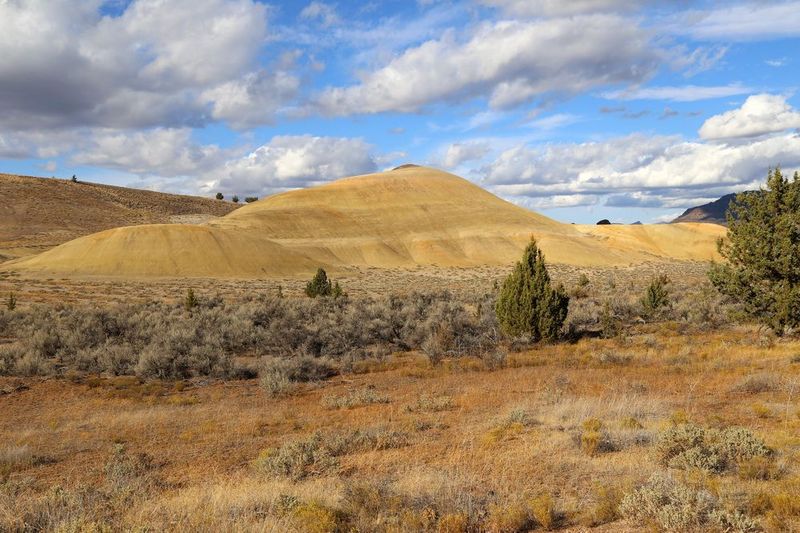 Oregon--John Day Fossil Beds National Monument (55).JPG