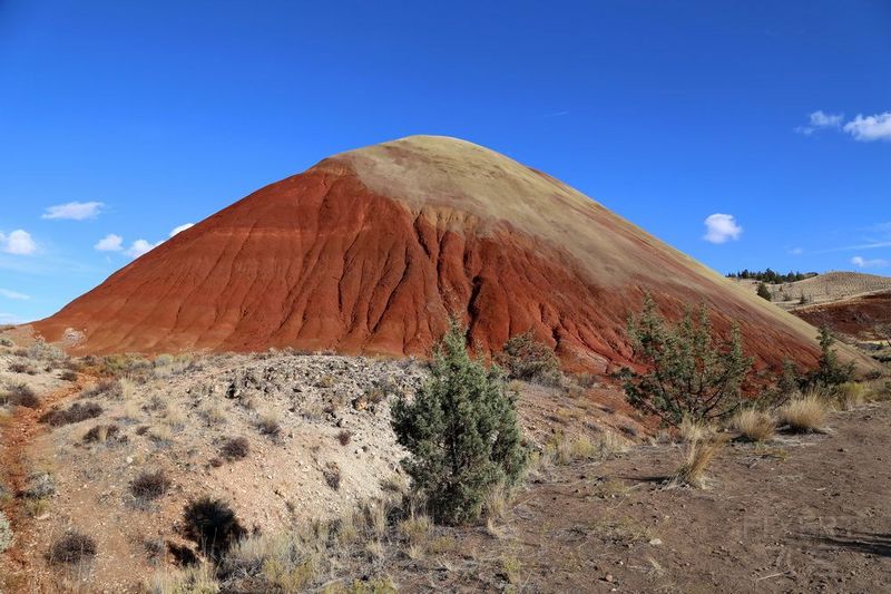 Oregon--John Day Fossil Beds National Monument (59).JPG