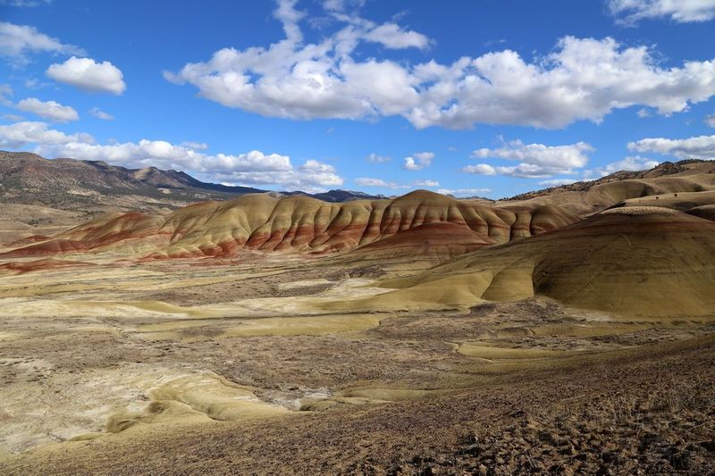 Oregon--John Day Fossil Beds National Monument (43).JPG