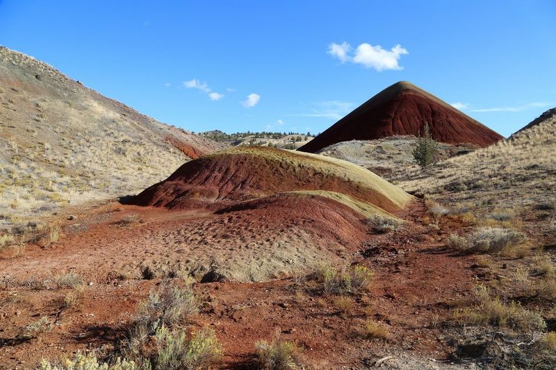 Oregon--John Day Fossil Beds National Monument (58).JPG