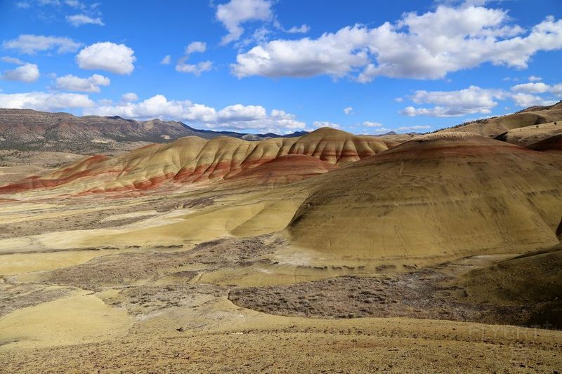 Oregon--John Day Fossil Beds National Monument (44).JPG