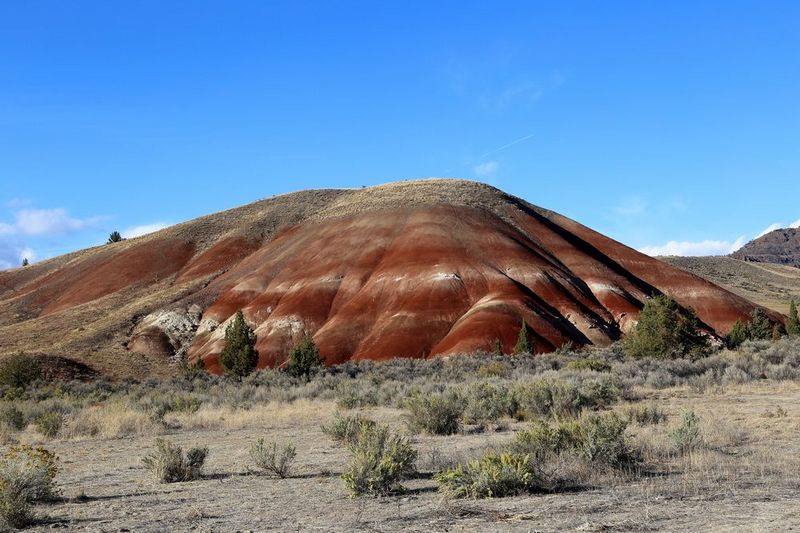 Oregon--John Day Fossil Beds National Monument (67).JPG