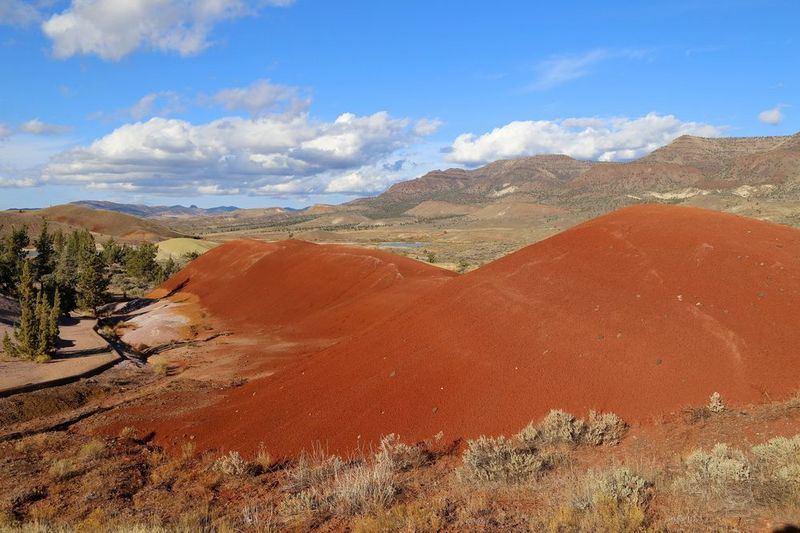 Oregon--John Day Fossil Beds National Monument (66).JPG