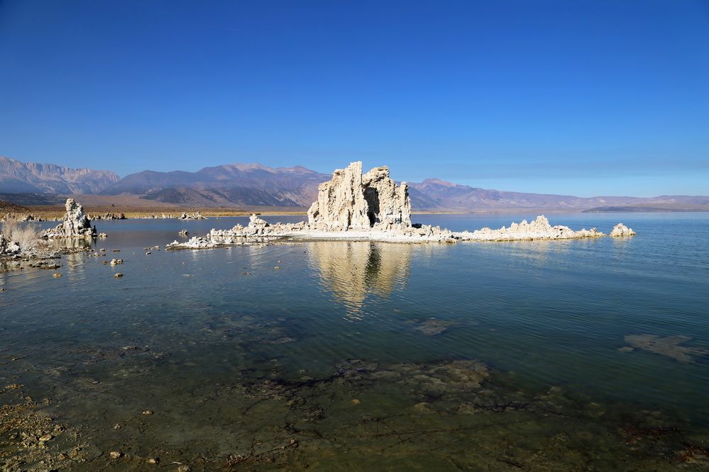 #ﳩ#: ݣ˹͡ȼٴ + ʤعҹ԰Mono Lake