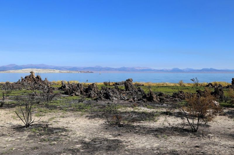 California--Mono Lake (5).JPG