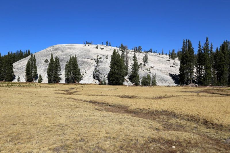 California--Yosemite National Park--Road 120 (11).JPG