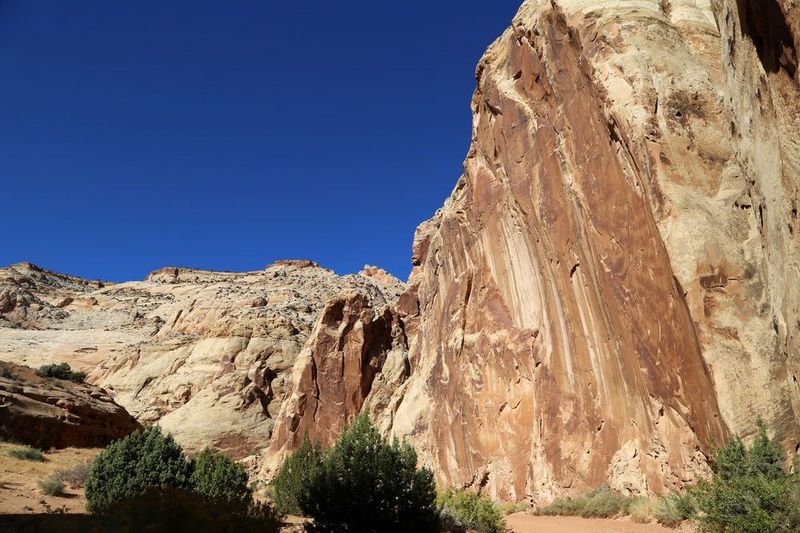 Utah--Capitol Reef National Park (38).JPG