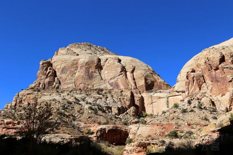 Utah--Capitol Reef National Park (43).JPG