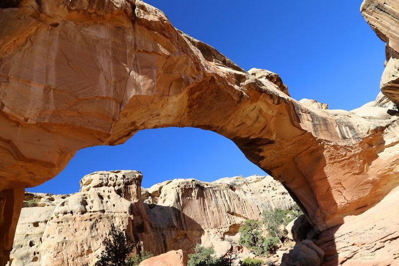 Utah--Capitol Reef National Park (31).JPG