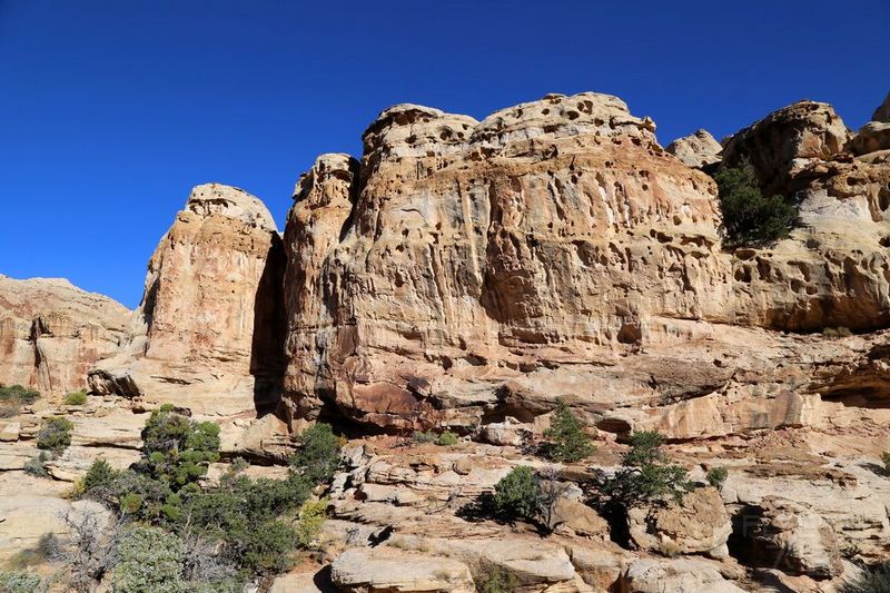 Utah--Capitol Reef National Park (27).JPG