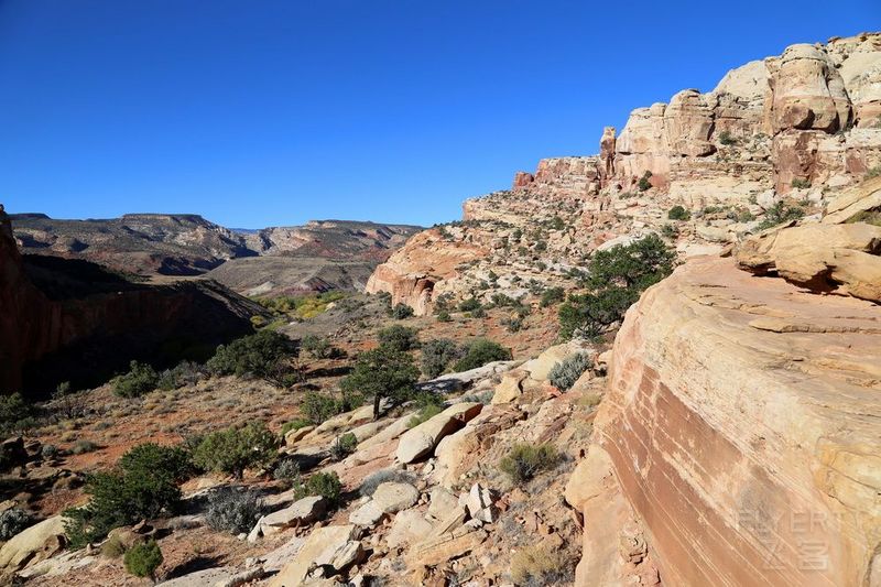 Utah--Capitol Reef National Park (33).JPG