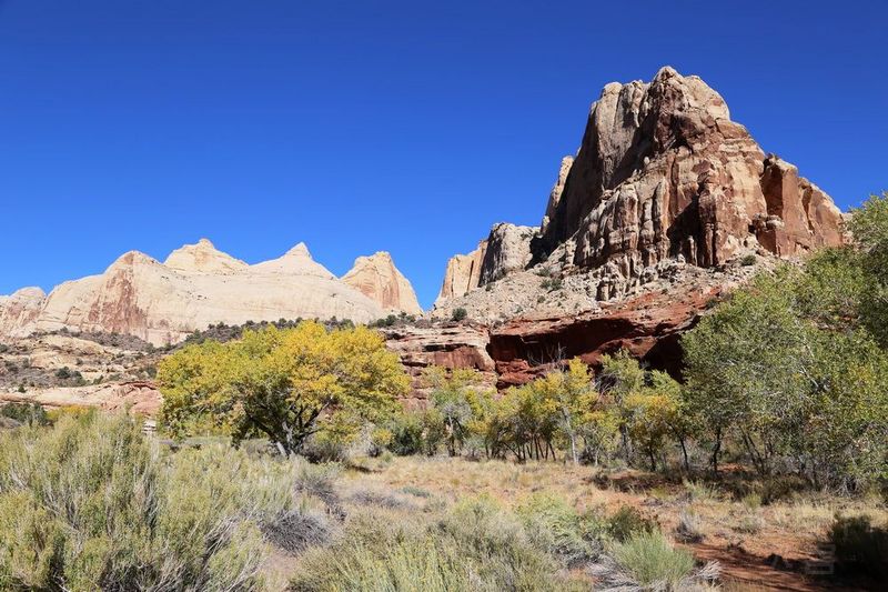 Utah--Capitol Reef National Park (35).JPG