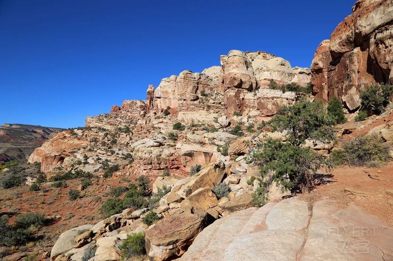 Utah--Capitol Reef National Park (34).JPG