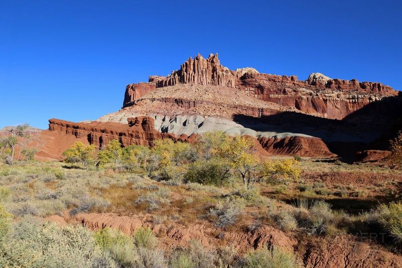 Utah--Capitol Reef National Park (20).JPG