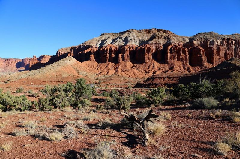 Utah--Capitol Reef National Park (13).JPG