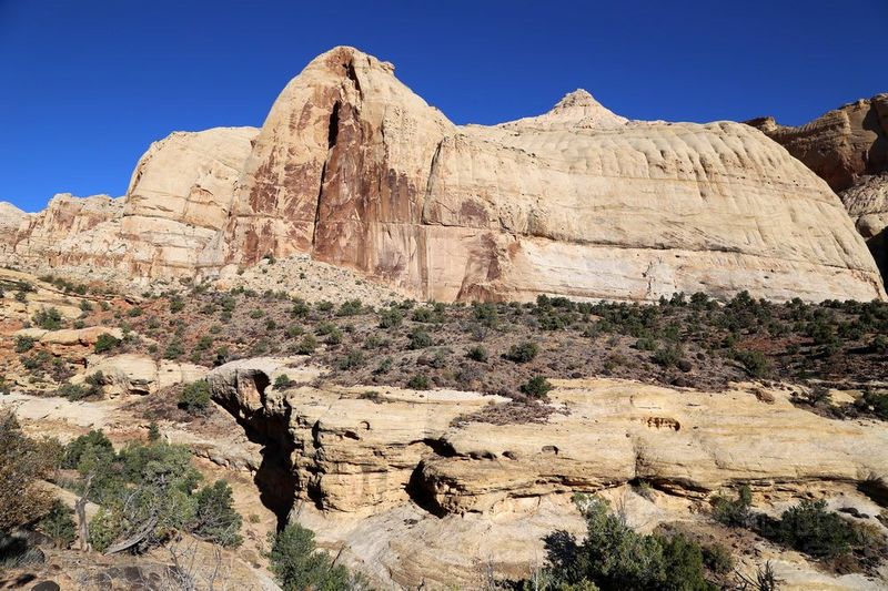 Utah--Capitol Reef National Park (24).JPG