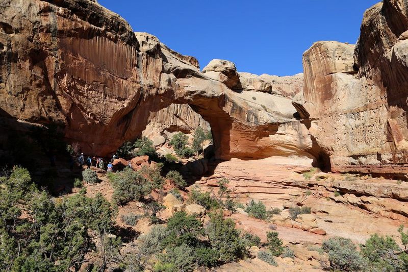 Utah--Capitol Reef National Park (29).JPG