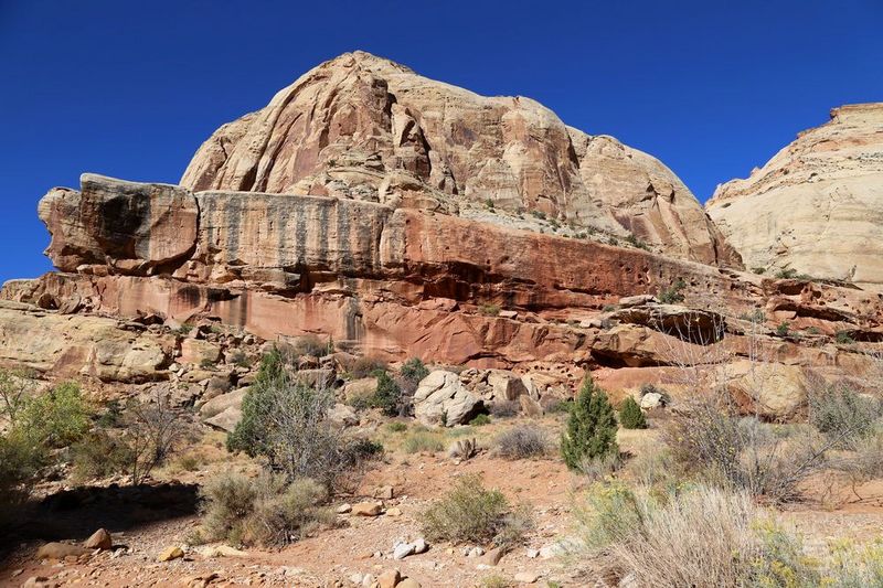 Utah--Capitol Reef National Park (47).JPG