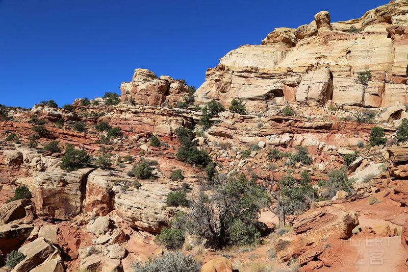 Utah--Capitol Reef National Park (54).JPG