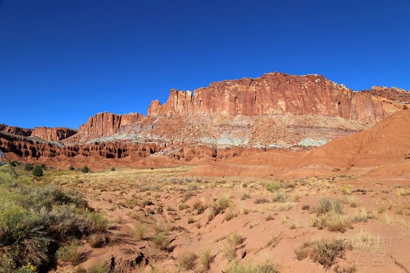 Utah--Capitol Reef National Park (104).JPG