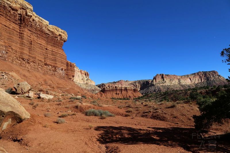 Utah--Capitol Reef National Park (131).JPG