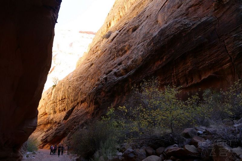 Utah--Capitol Reef National Park (96).JPG