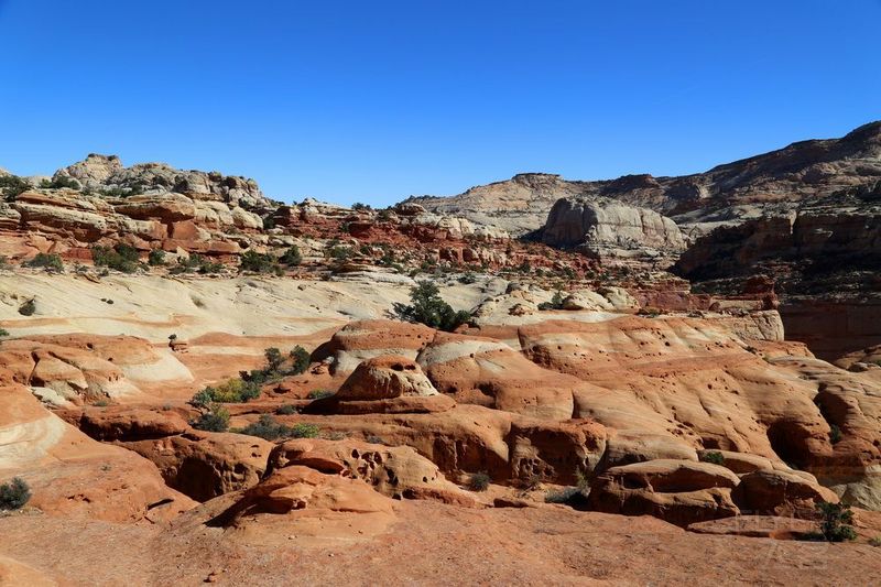 Utah--Capitol Reef National Park (68).JPG