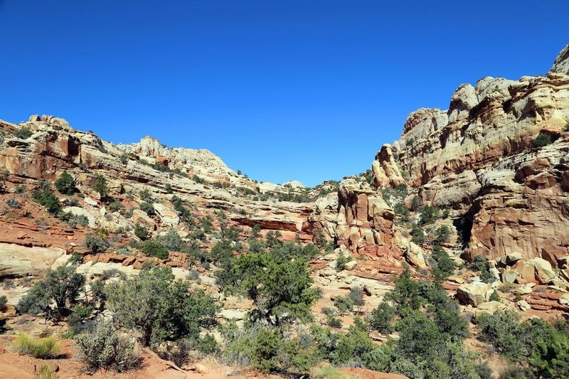 Utah--Capitol Reef National Park (59).JPG