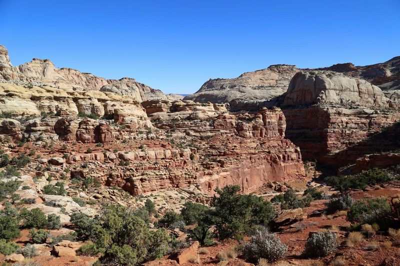 Utah--Capitol Reef National Park (62).JPG