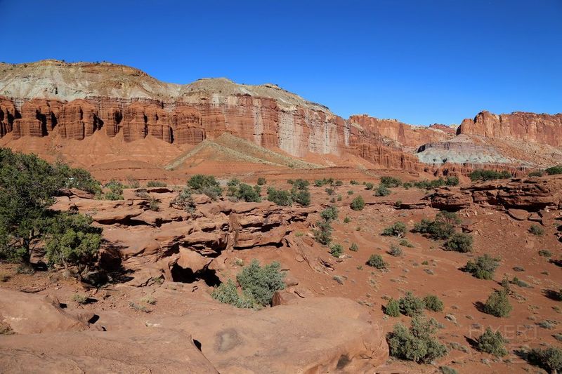 Utah--Capitol Reef National Park (110).JPG