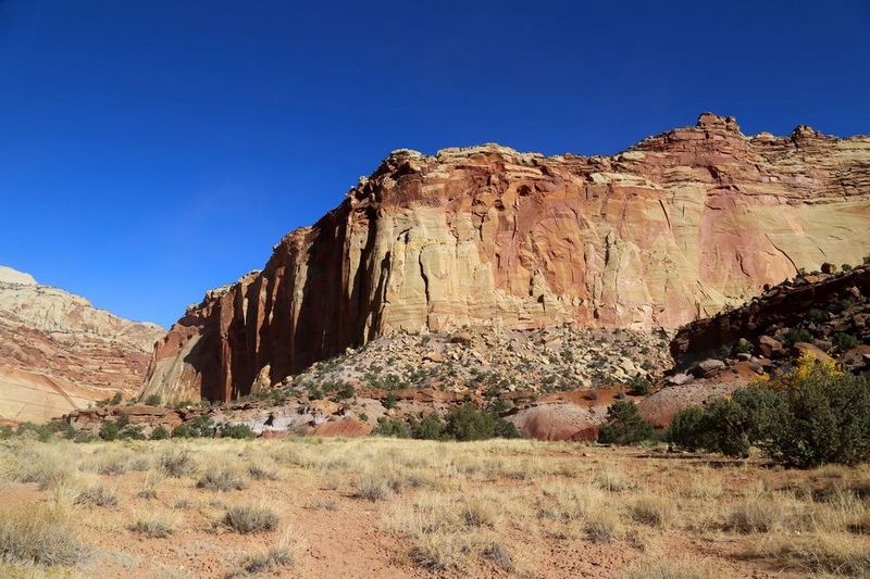 Utah--Capitol Reef National Park (135).JPG