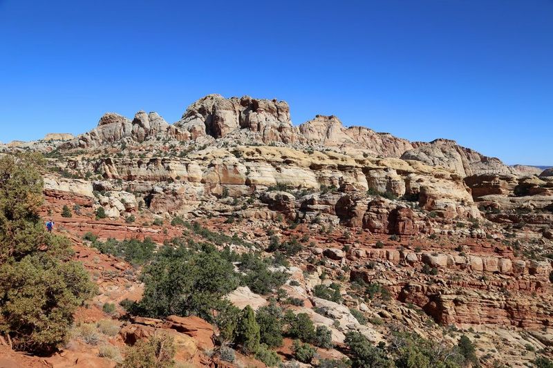 Utah--Capitol Reef National Park (61).JPG