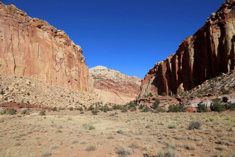 Utah--Capitol Reef National Park (136).JPG